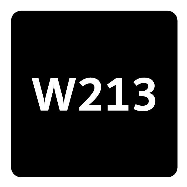 W213