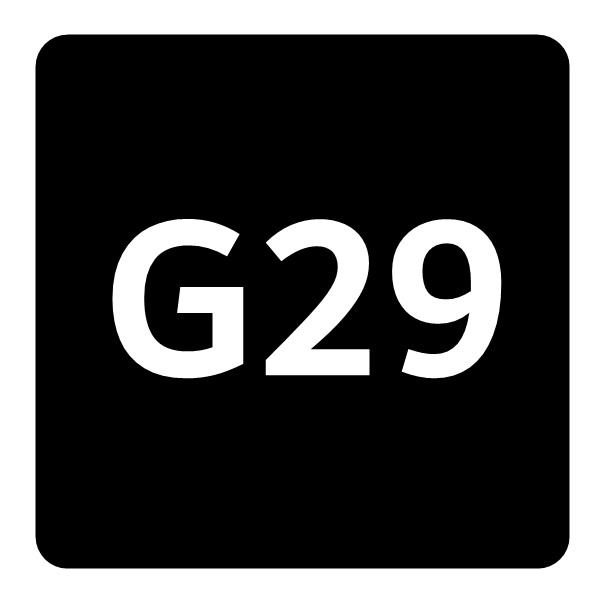 Z4 - G29